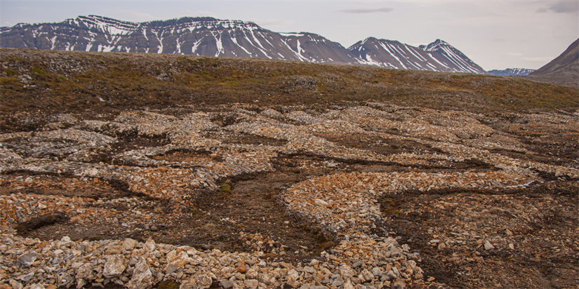 Kamp om arealene i Arktis